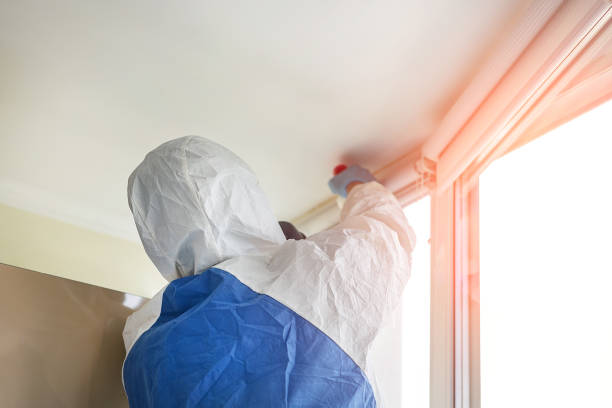 Environmental Consulting for Mold Prevention in Statesville, NC